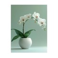 Алмазная картина 30*40 см