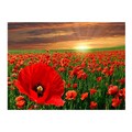 Картина по номерам 30*40 см
