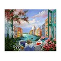 Картина по номерам 30*40 см