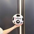 minge fotbal