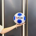 minge fotbal