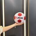 minge fotbal