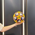 minge fotbal