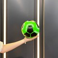 minge fotbal