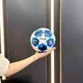 minge fotbal