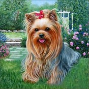 Pictură cu diamante, 30×40 cm